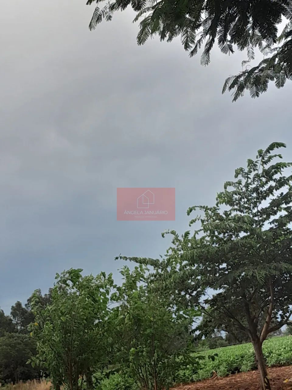 CHÁCARA NA WARTA - Foto 3