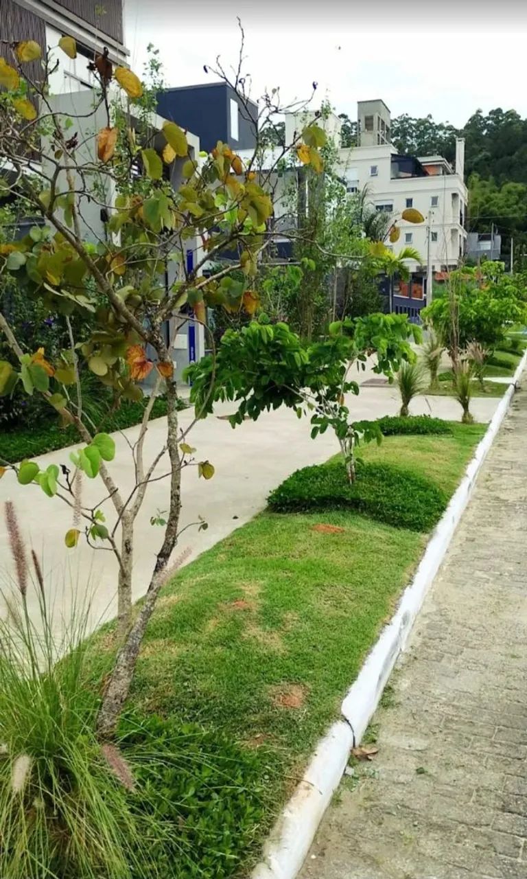 Jardineiro em Florianópolis  - Foto 5