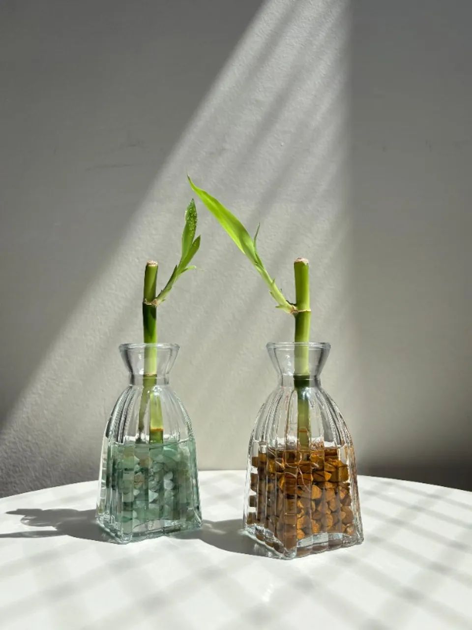 Bambus da sorte para eventos especiais preço de atacado a partir de cinco unidades. - Foto 2