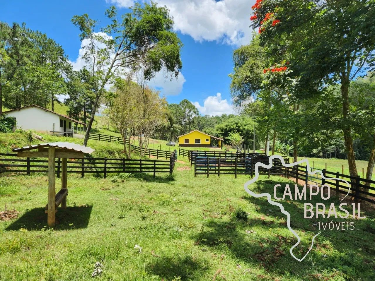 SÍTIO 8 ALQUEIRES EM LAGOINHA !