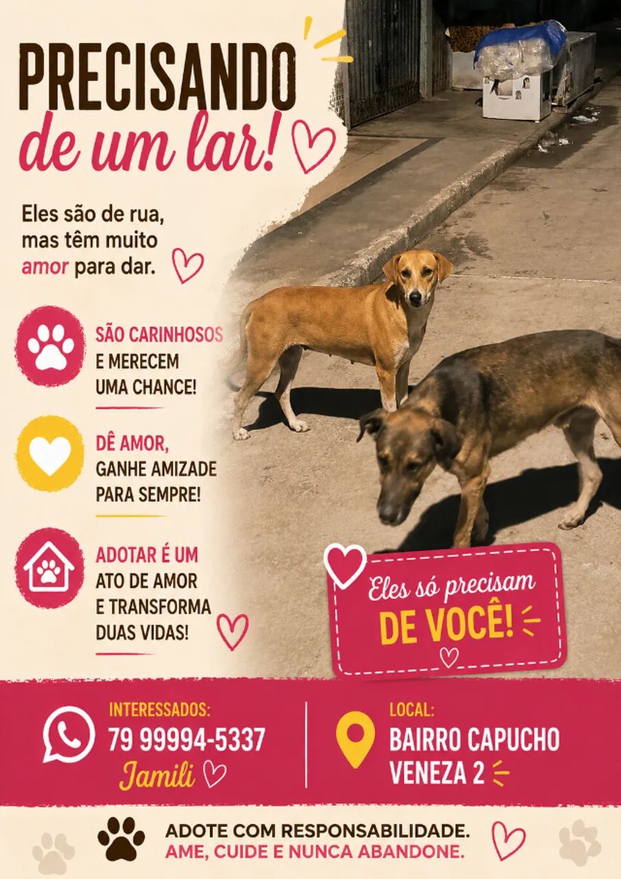 Cachorro adoção  - Foto 2