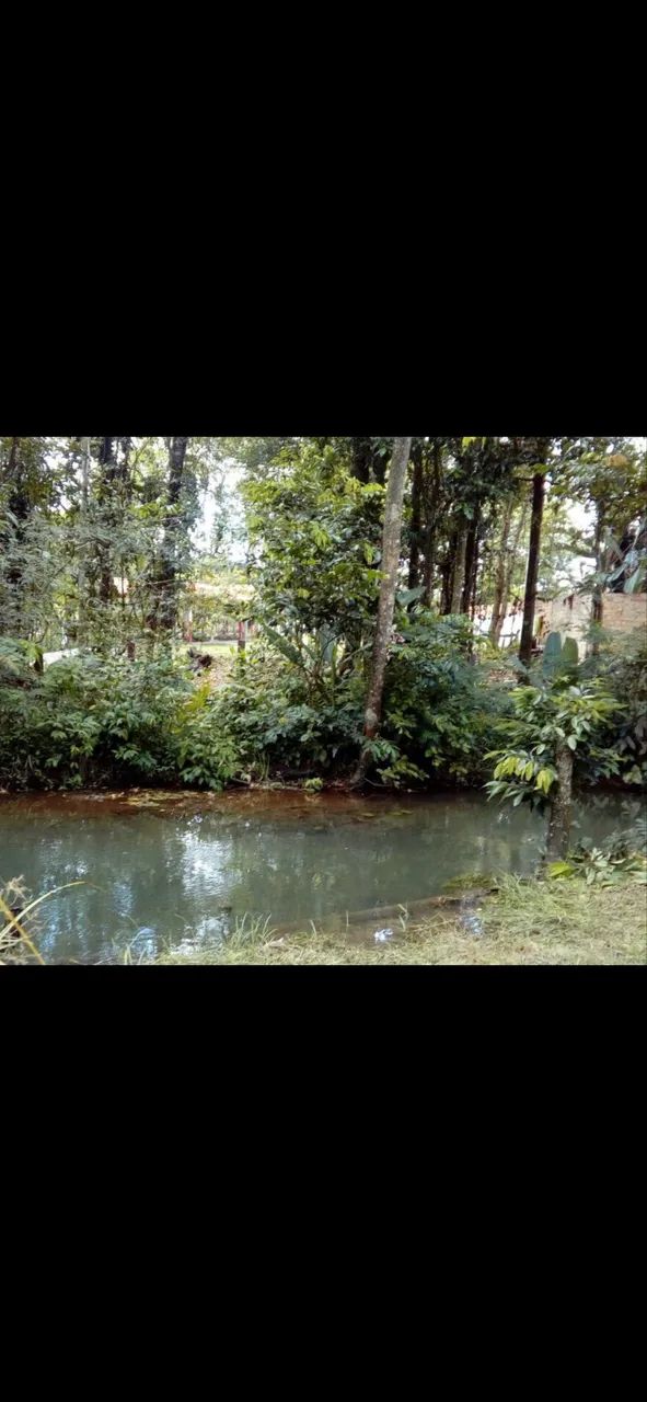 Terreno com igarapé e sem igarapé  - Foto 2