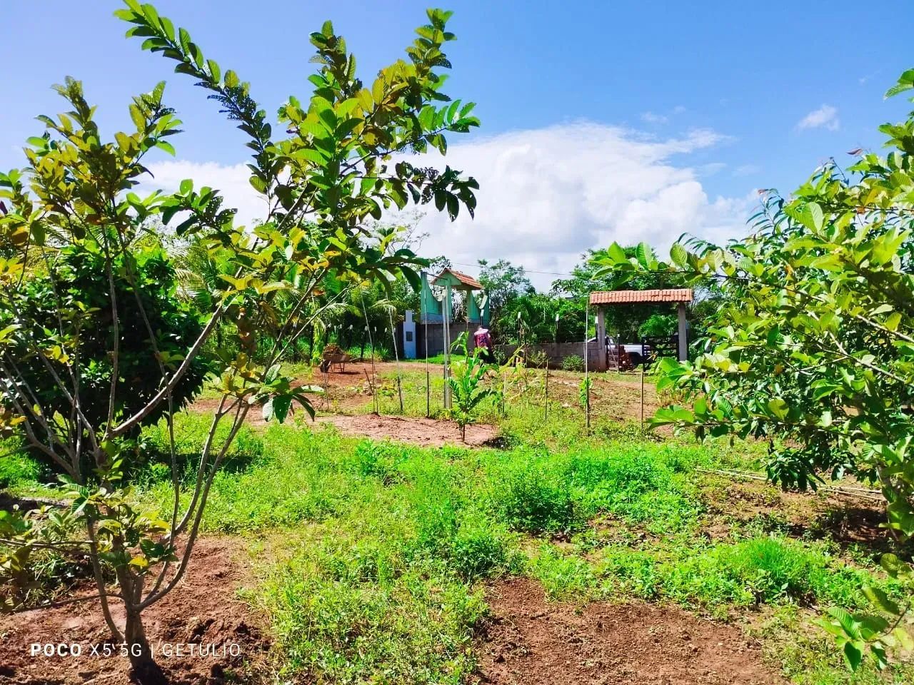 Linda Chácara em Aliança Pernambuco - Foto 4