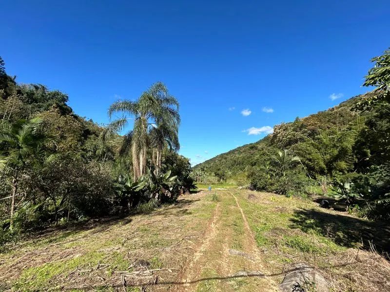 Lote rural TIMBÓ - SC - Foto 3
