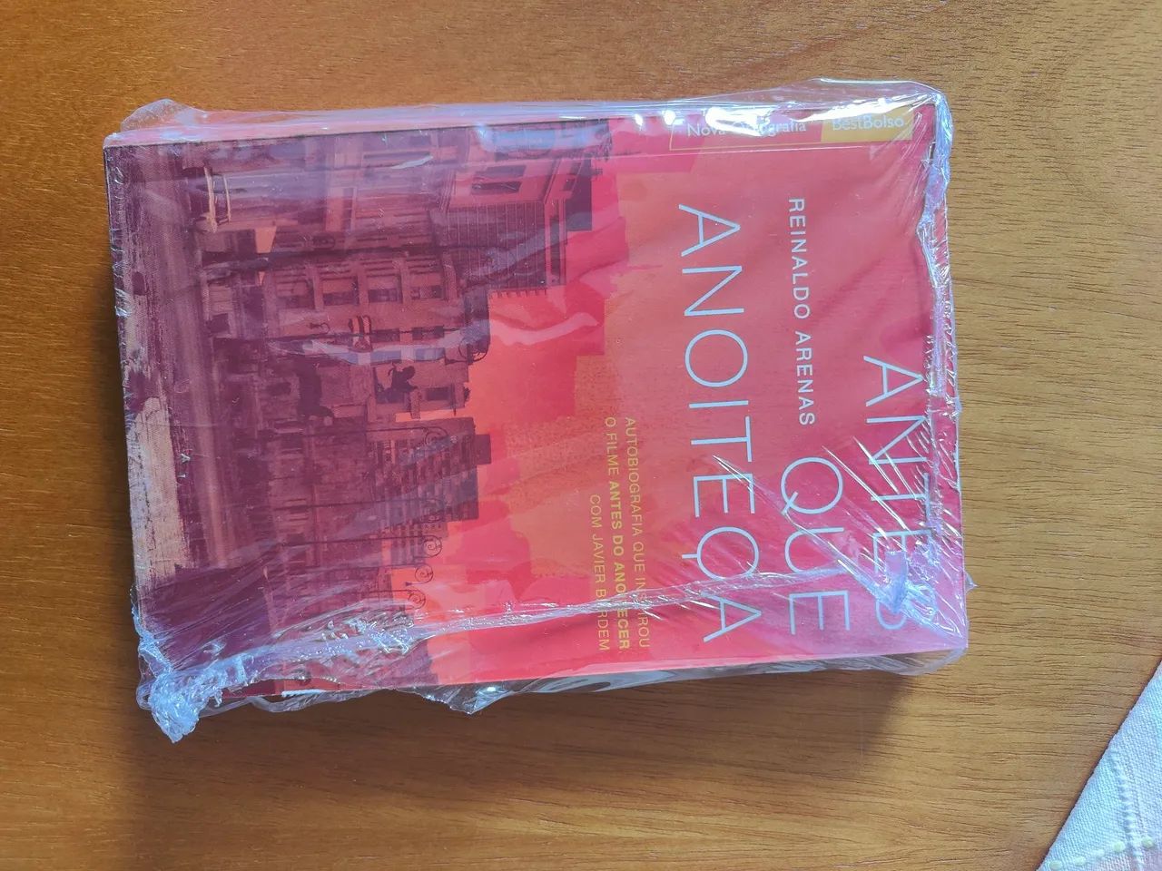 Livro Antes que anoiteça 