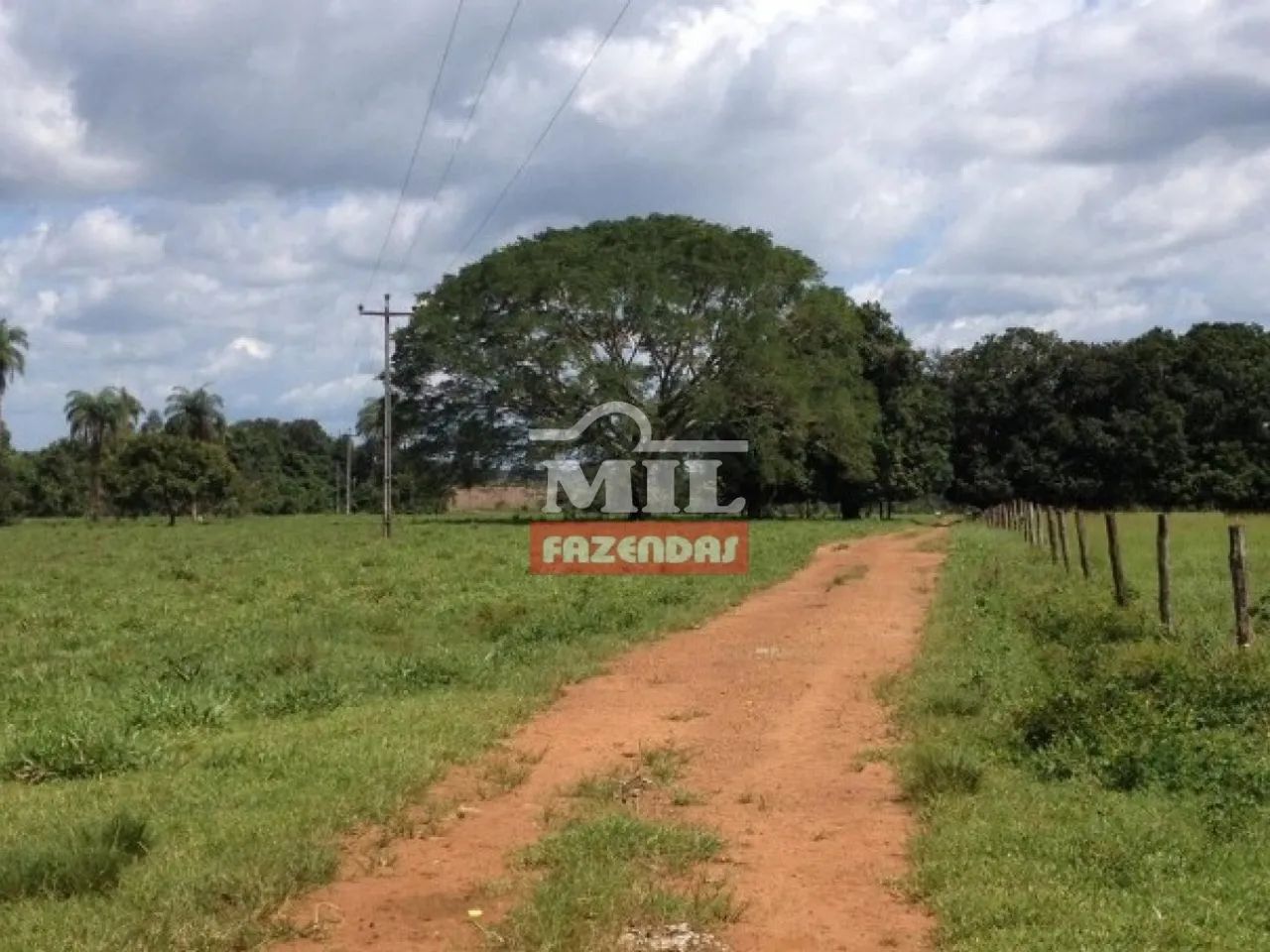 Fazenda em Imperatriz-MA. (2.252 Hectares). Dupla Aptidão - Foto 3