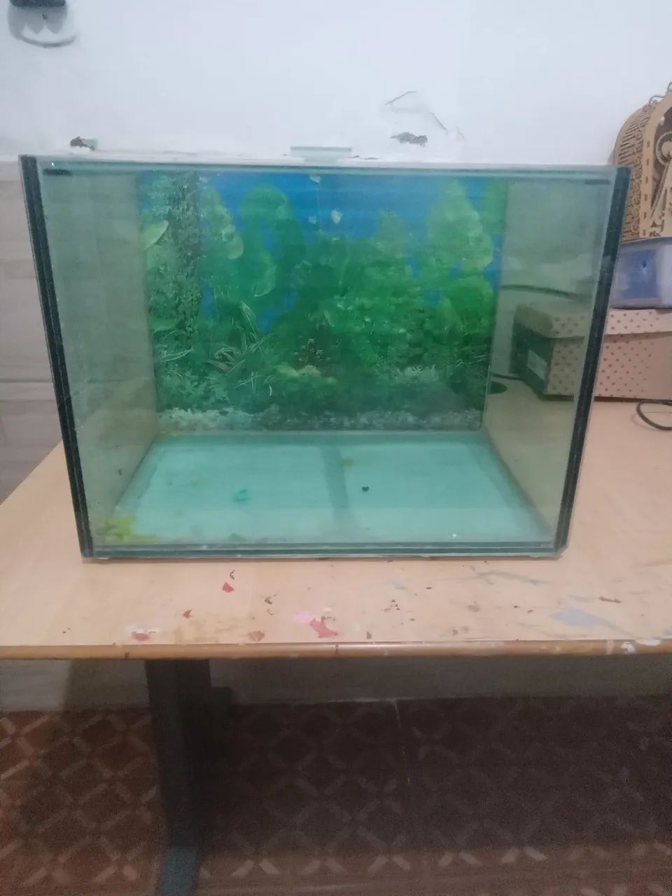Aquário 