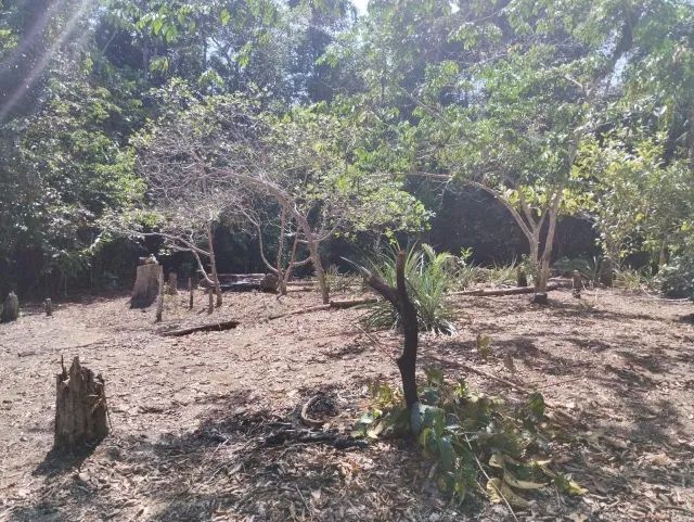 Terreno no ramal Água Branca 1 - Foto 2