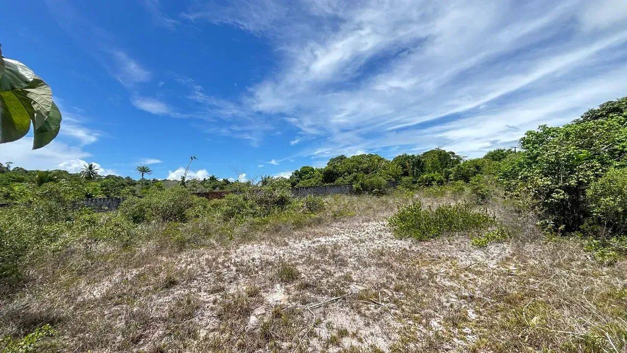 ÁREA EM CATU COM 1440m2 - Foto 5