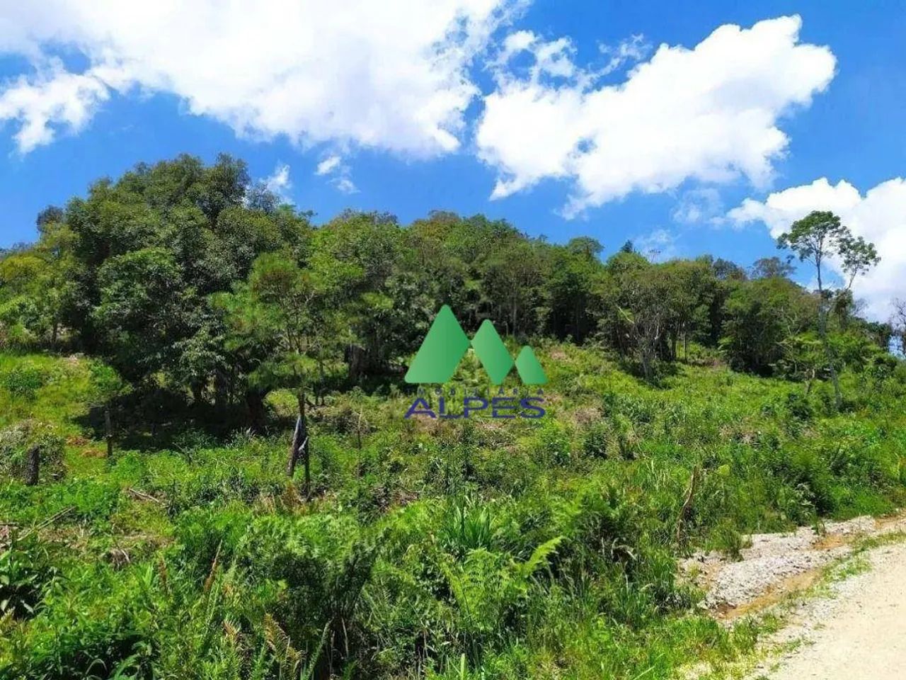 Chácara com Água e Próximo a BR 376 em Tijucas do Sul - Foto 4