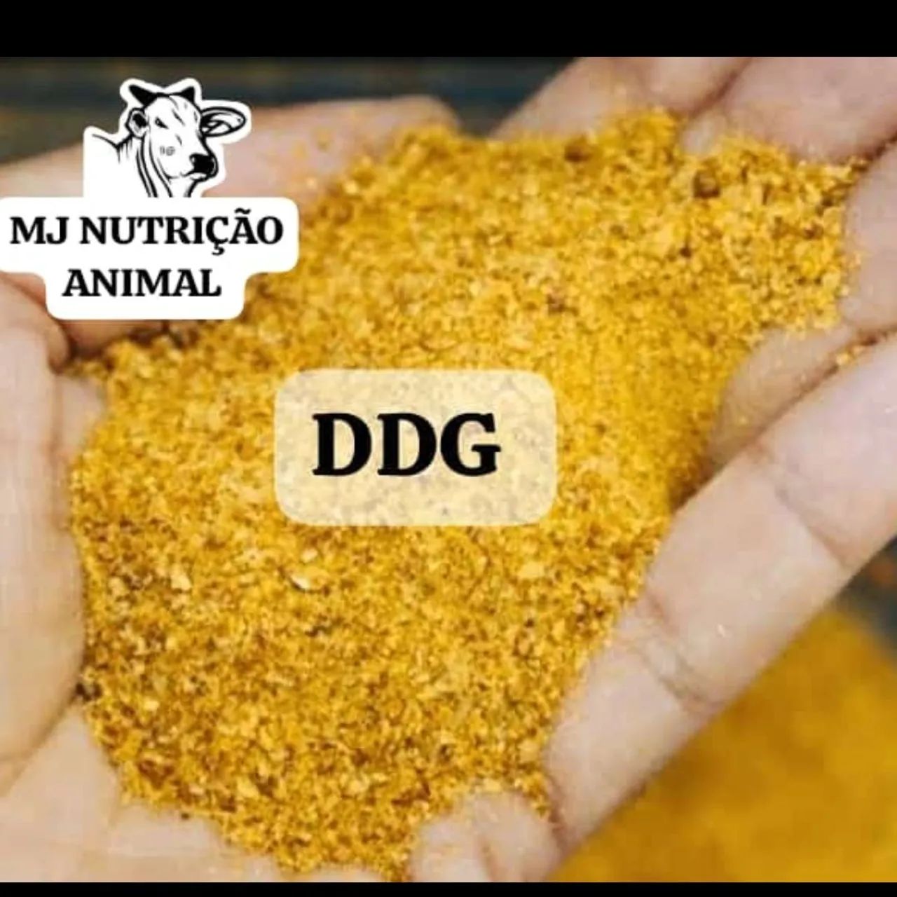 Bagaço de laranja  - Foto 5