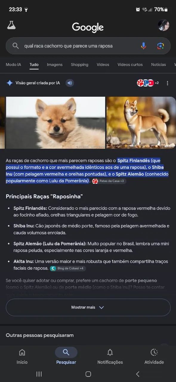Animal  - Foto 5
