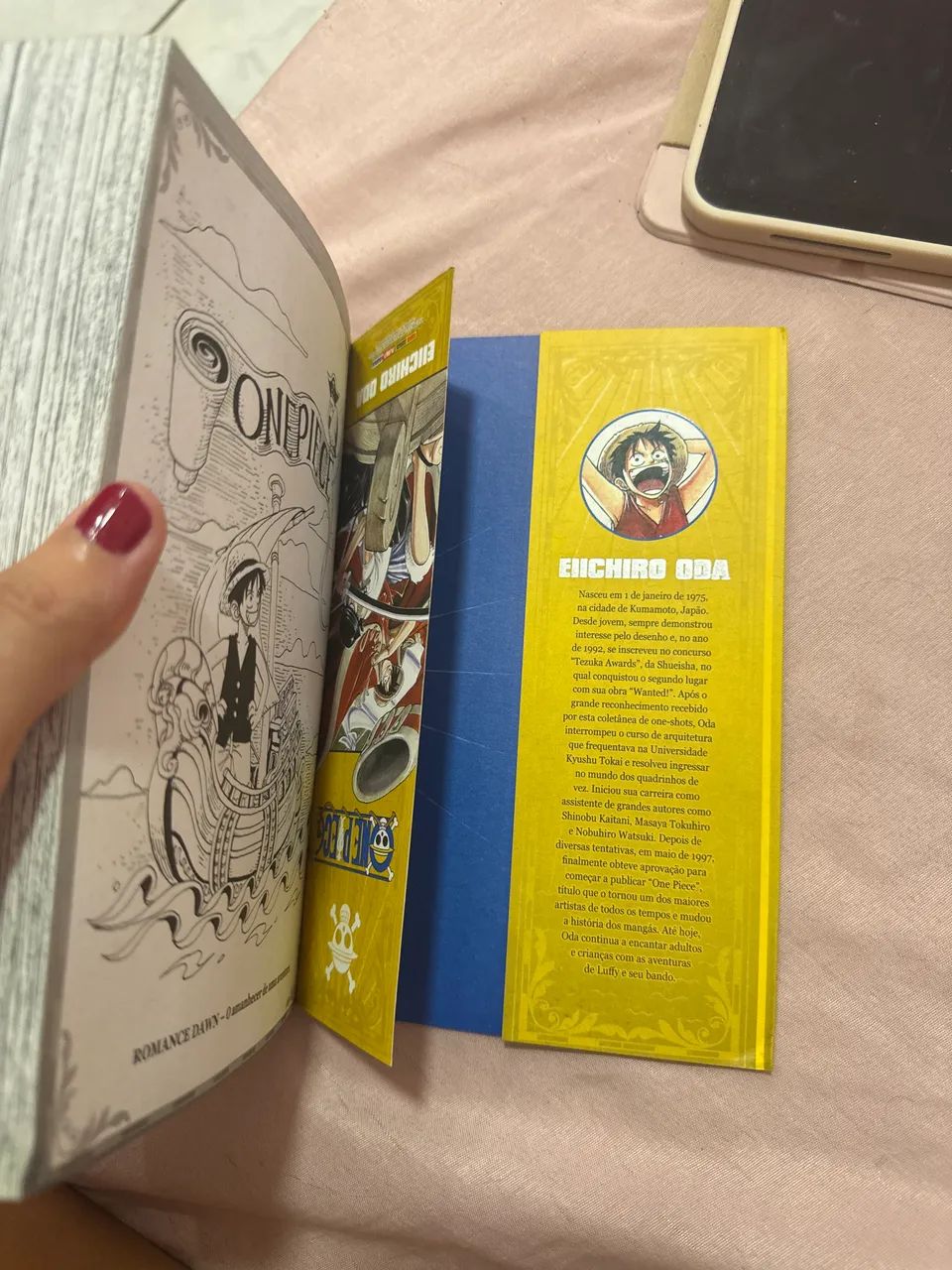 Mangá One piece  - Foto 3