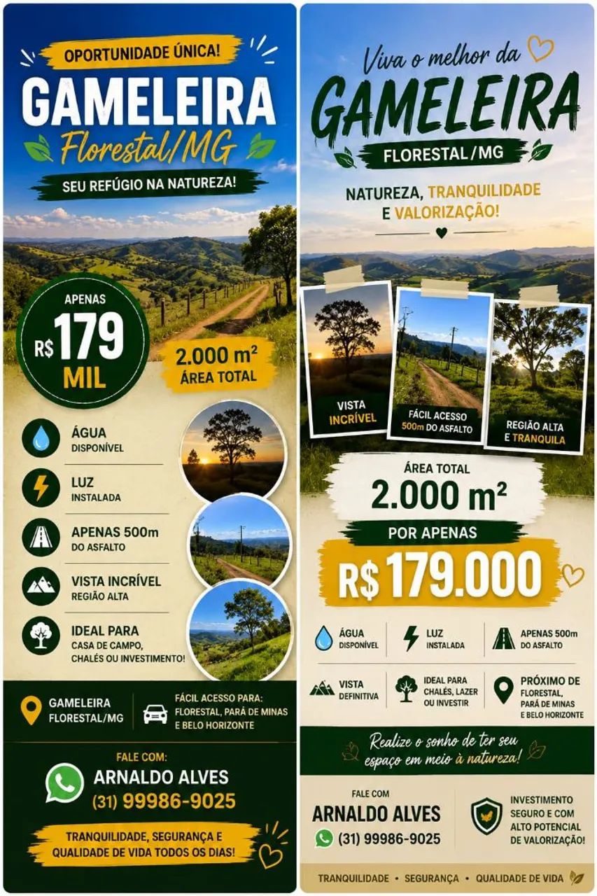 CHÁCARA OPORTUNIDADE 2.000M2 FLORESTAL  - Foto 2