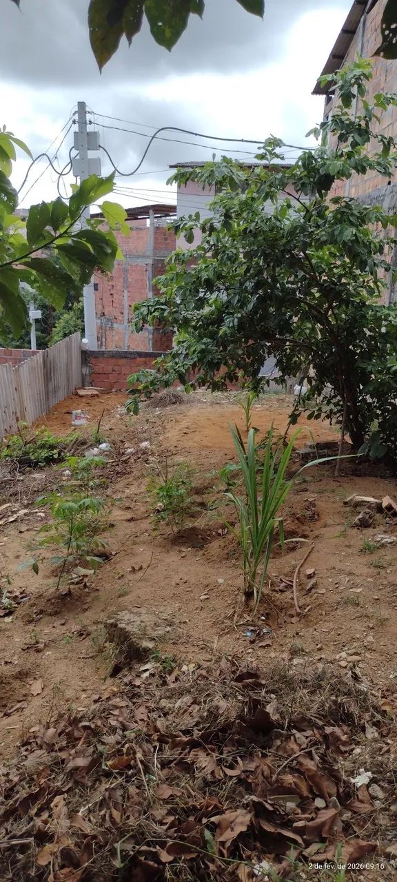 Terreno grande ( Oportunidade)