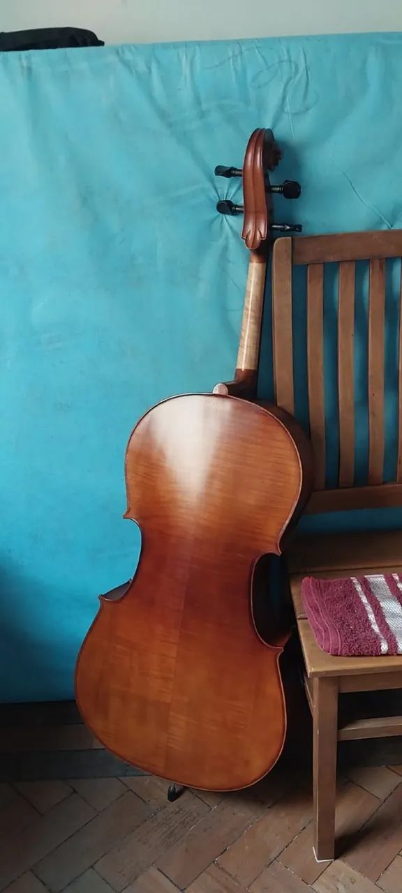 Violoncelo Eagle 4/4 CE 300 - Foto 4