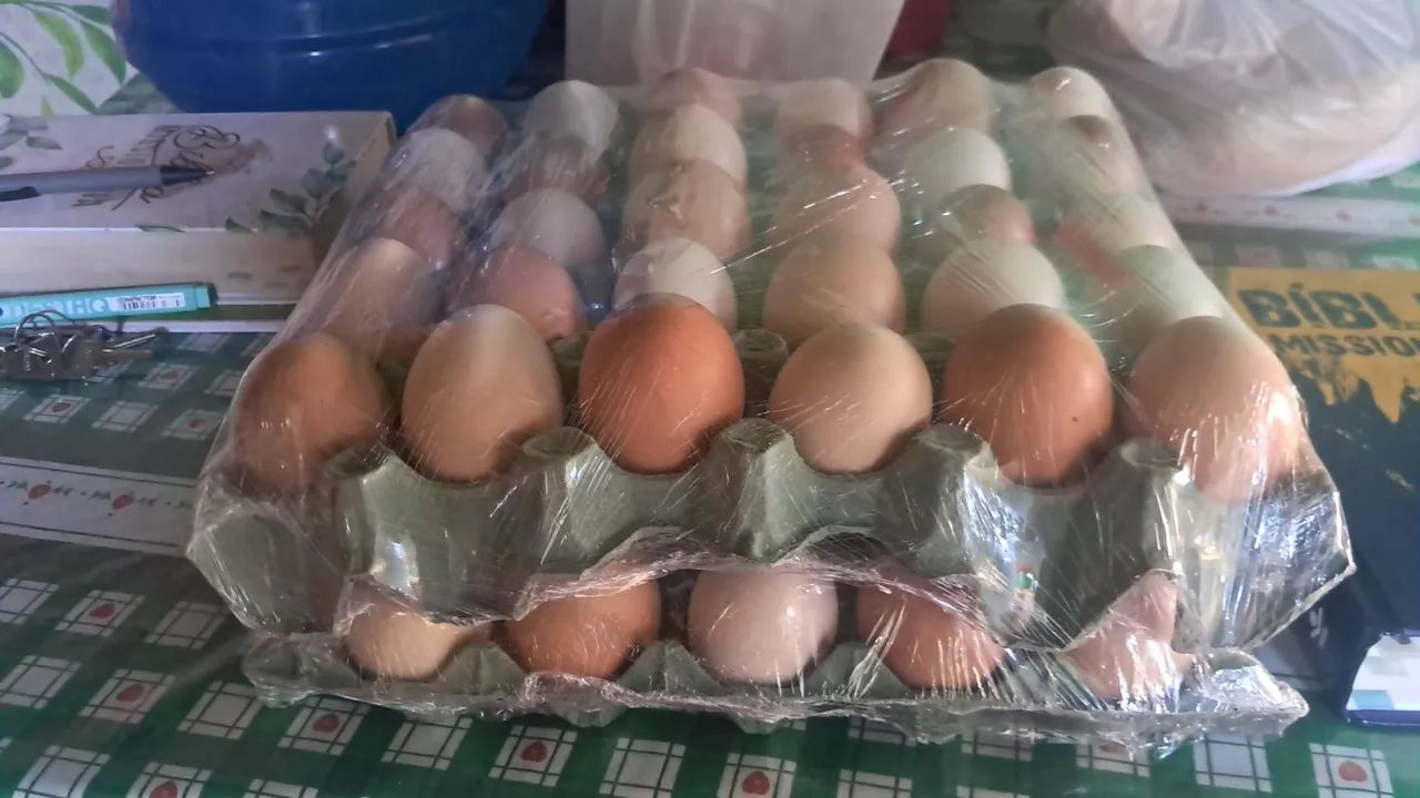 ovos de galinha caipira diferenciados - Foto 4