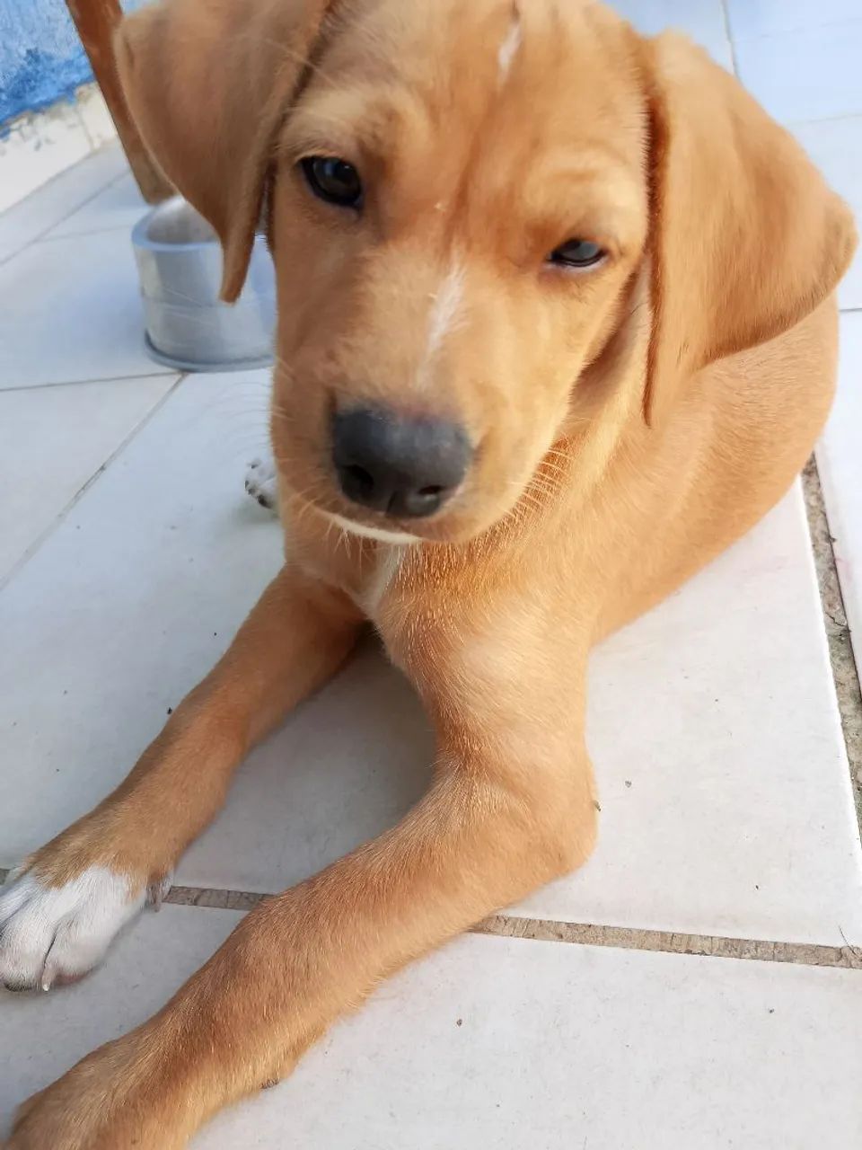 Doação  - Foto 2