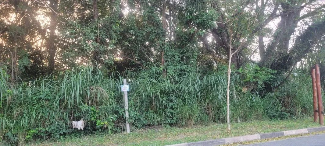 Lindo terreno na Granja Viana - Foto 2