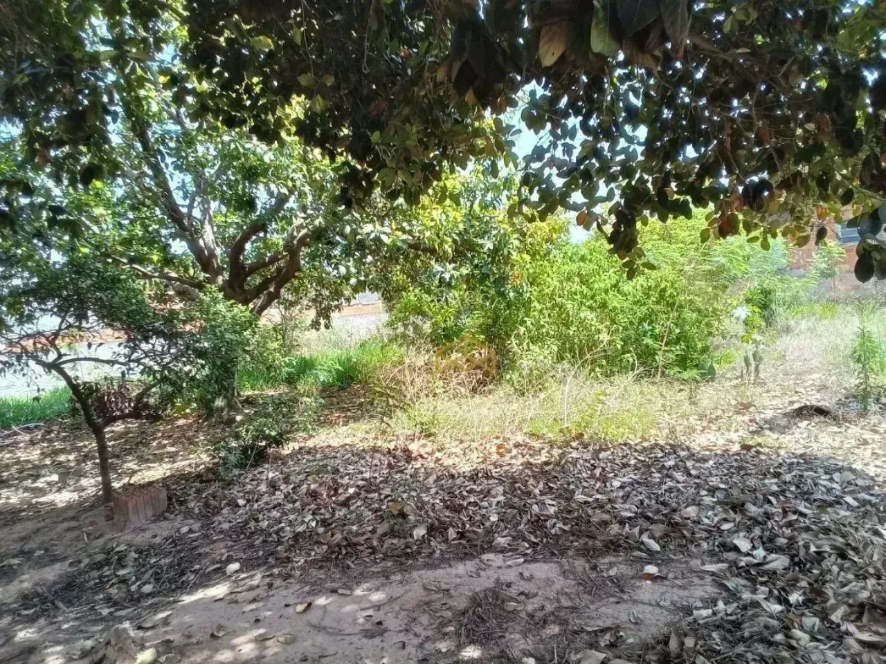 CHÁCARA À VENDA NO SATELITE IRIS - Foto 5
