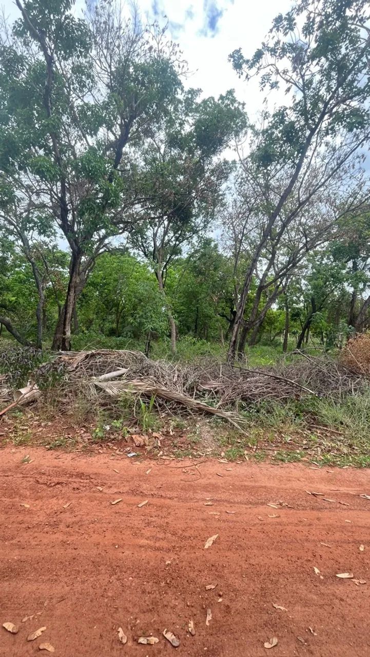 Terreno