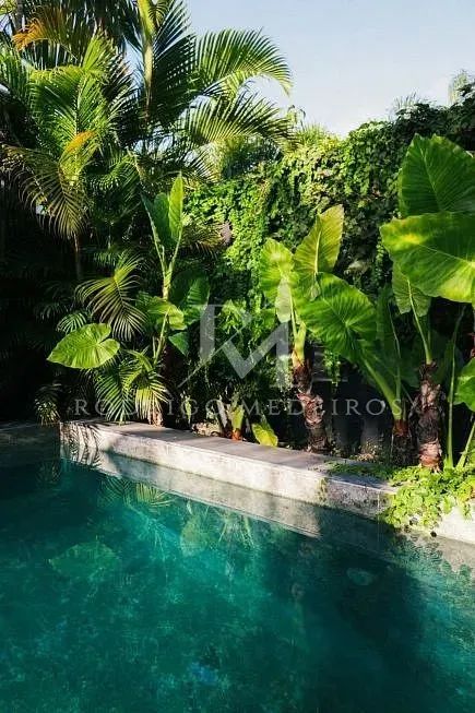Casa com 4 dormitórios à venda em Jurerê Internacional, Florianópolis - Foto 5