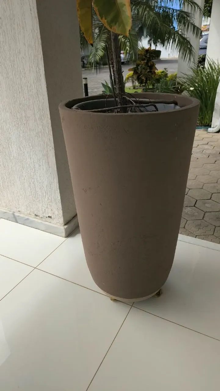 Caqueiro - Foto 2