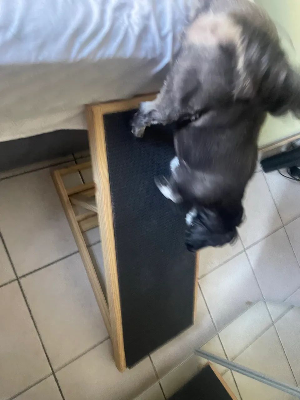 Vendo rampa para Pet regulável 