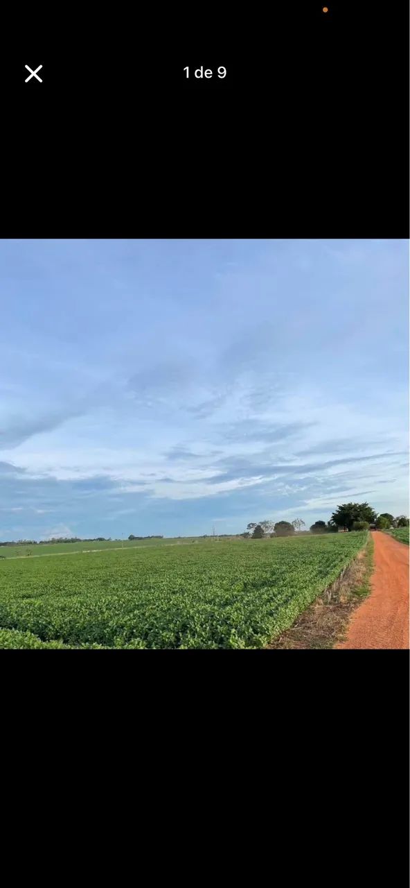 Sítio 33 ha em campo verde mt  - Foto 5