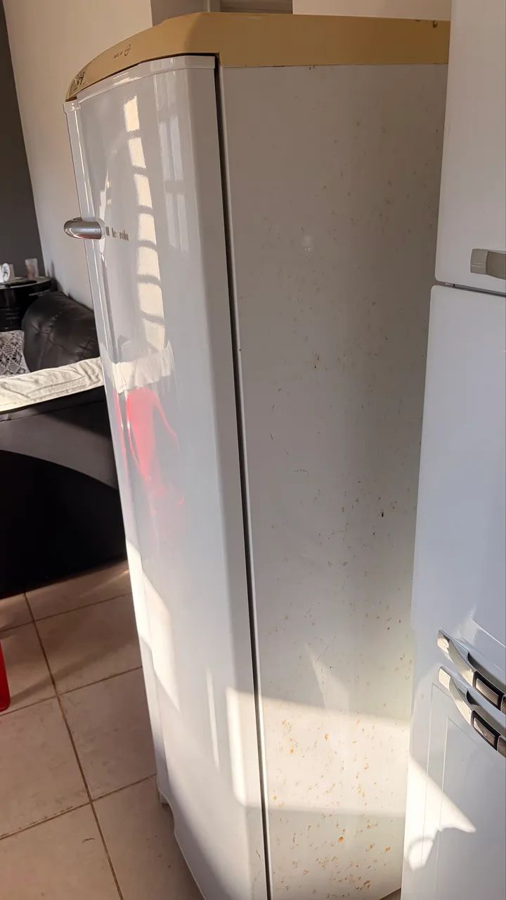 Geladeira Electrolux  - Foto 5