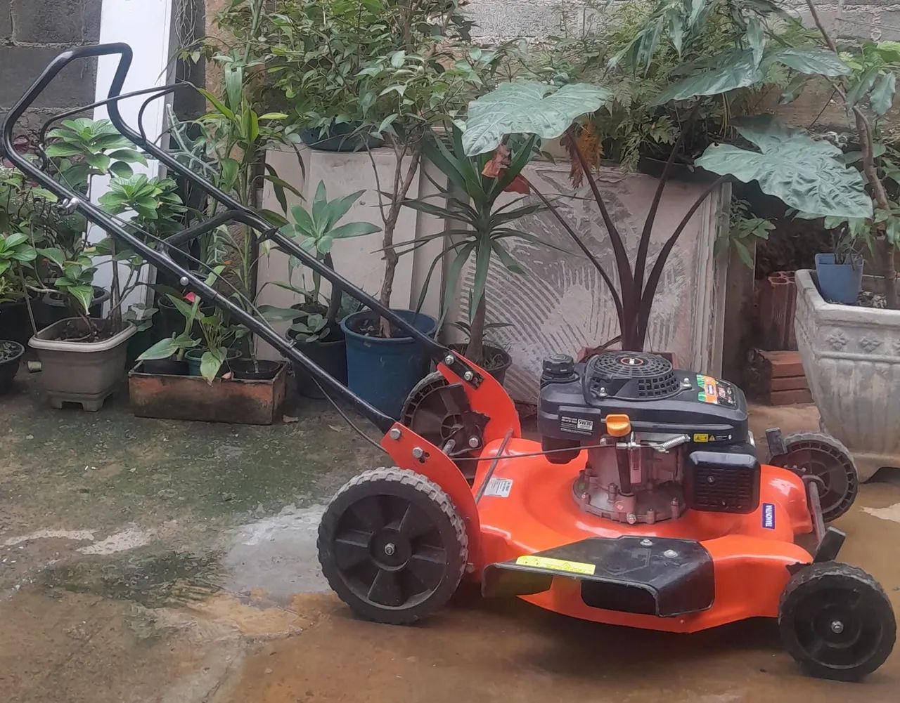 Cortador de grama a combustão  - Foto 2