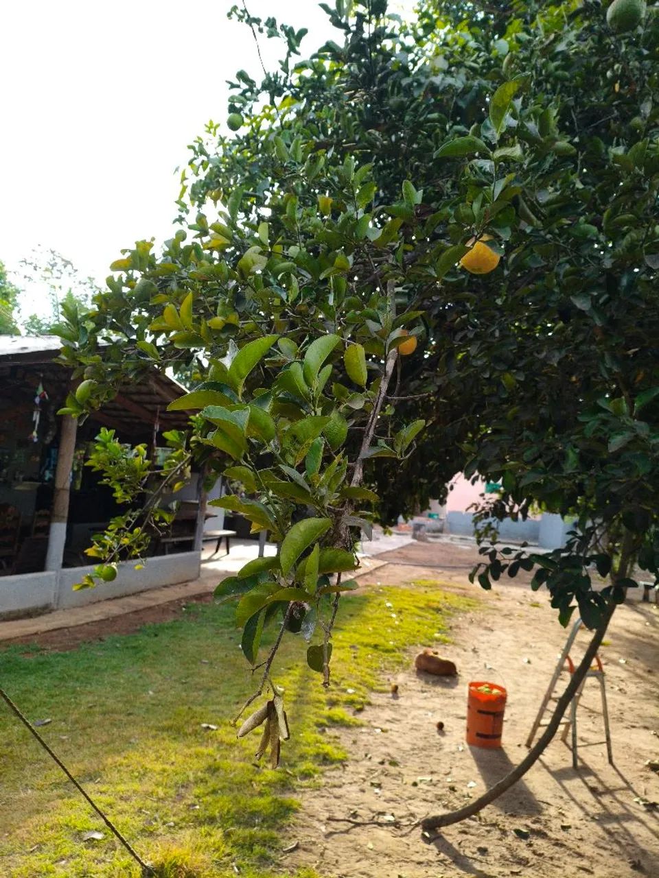 Escriturada  - Foto 4