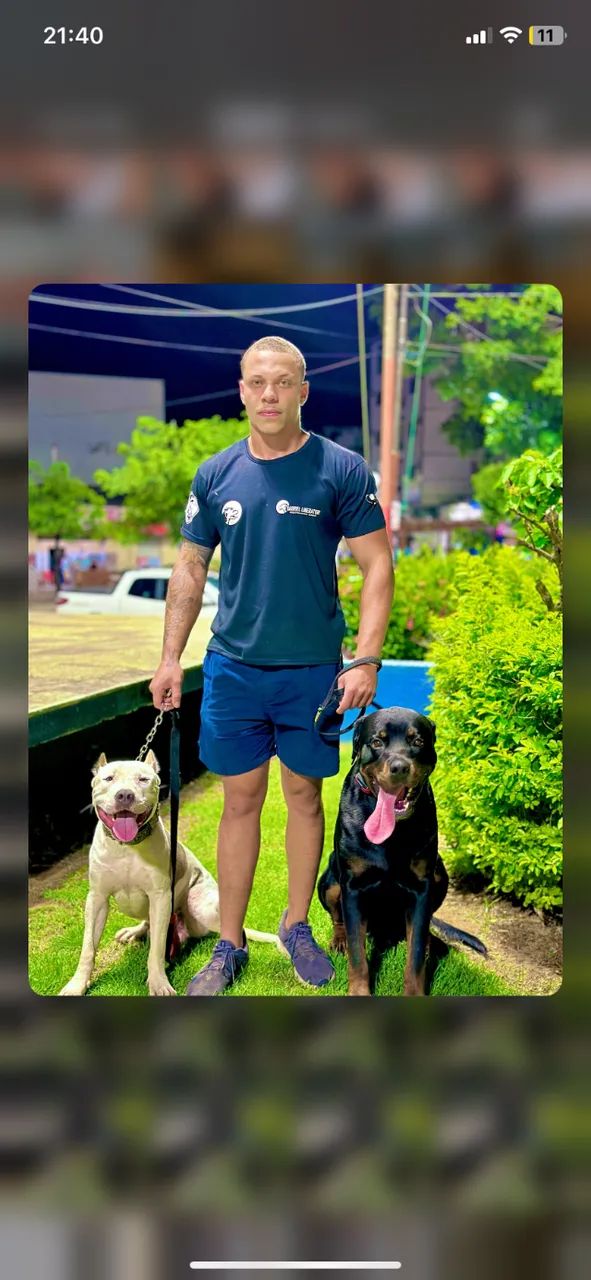 Adestrador de cães profissional  - Foto 2
