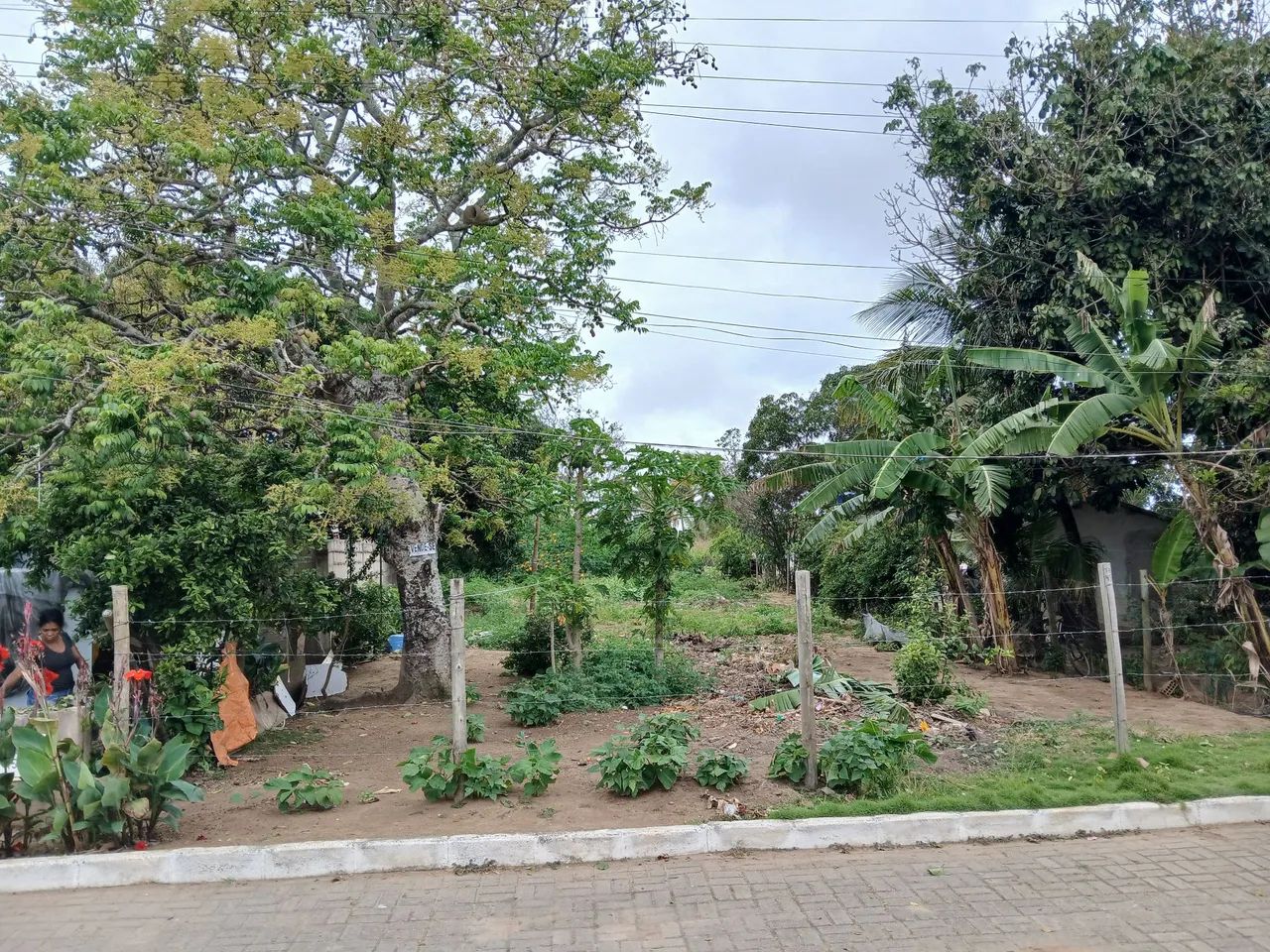 Area para construção de casas ou galpão  - Foto 4