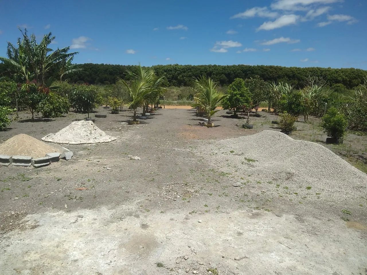 VENDE-SE SITIO - Foto 5
