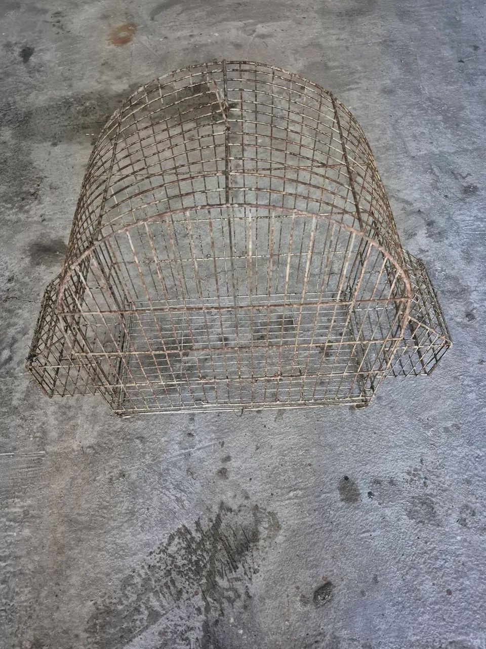 Gaiola - Foto 4