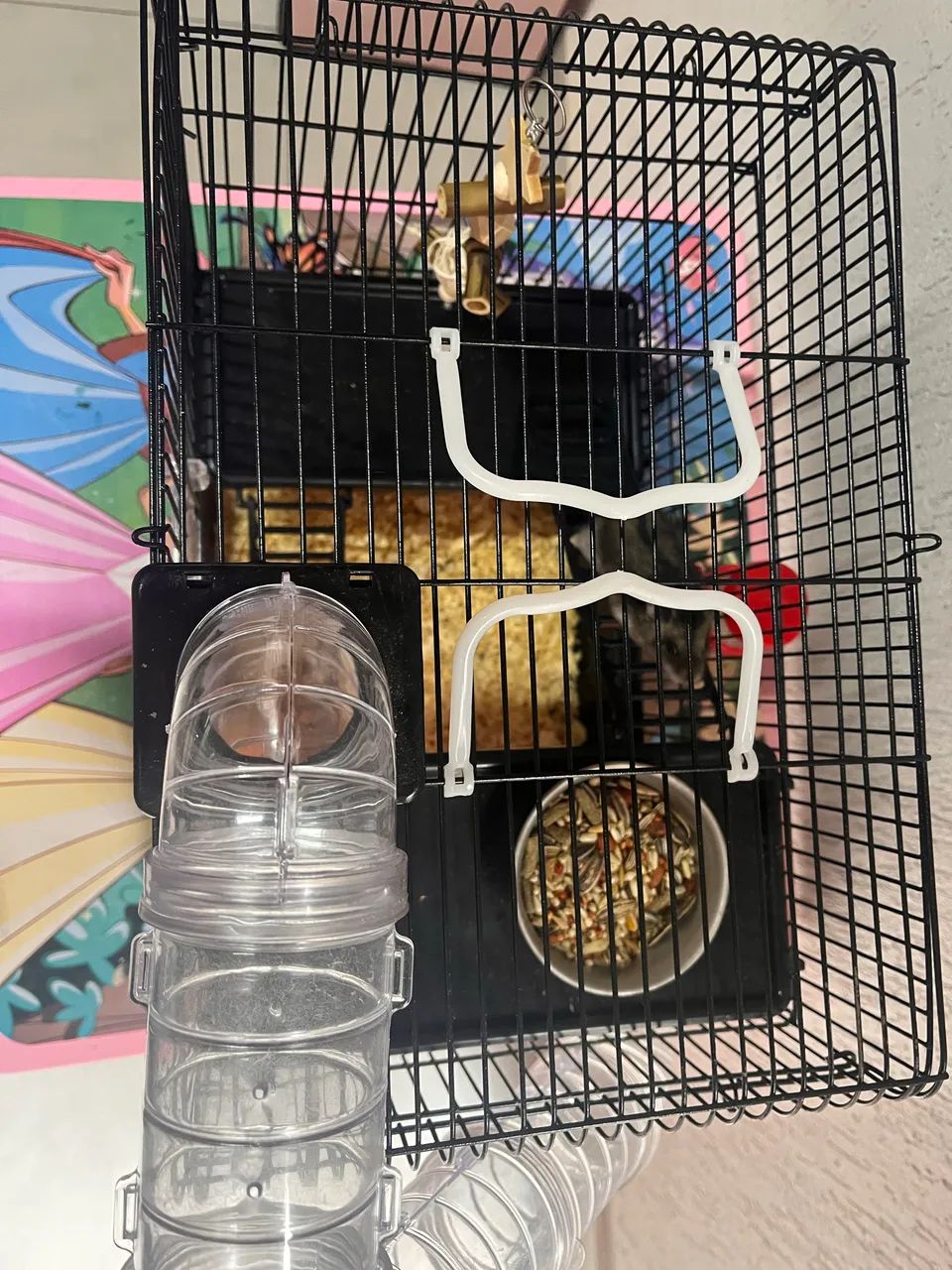 Medium hamster cage469147948628070403