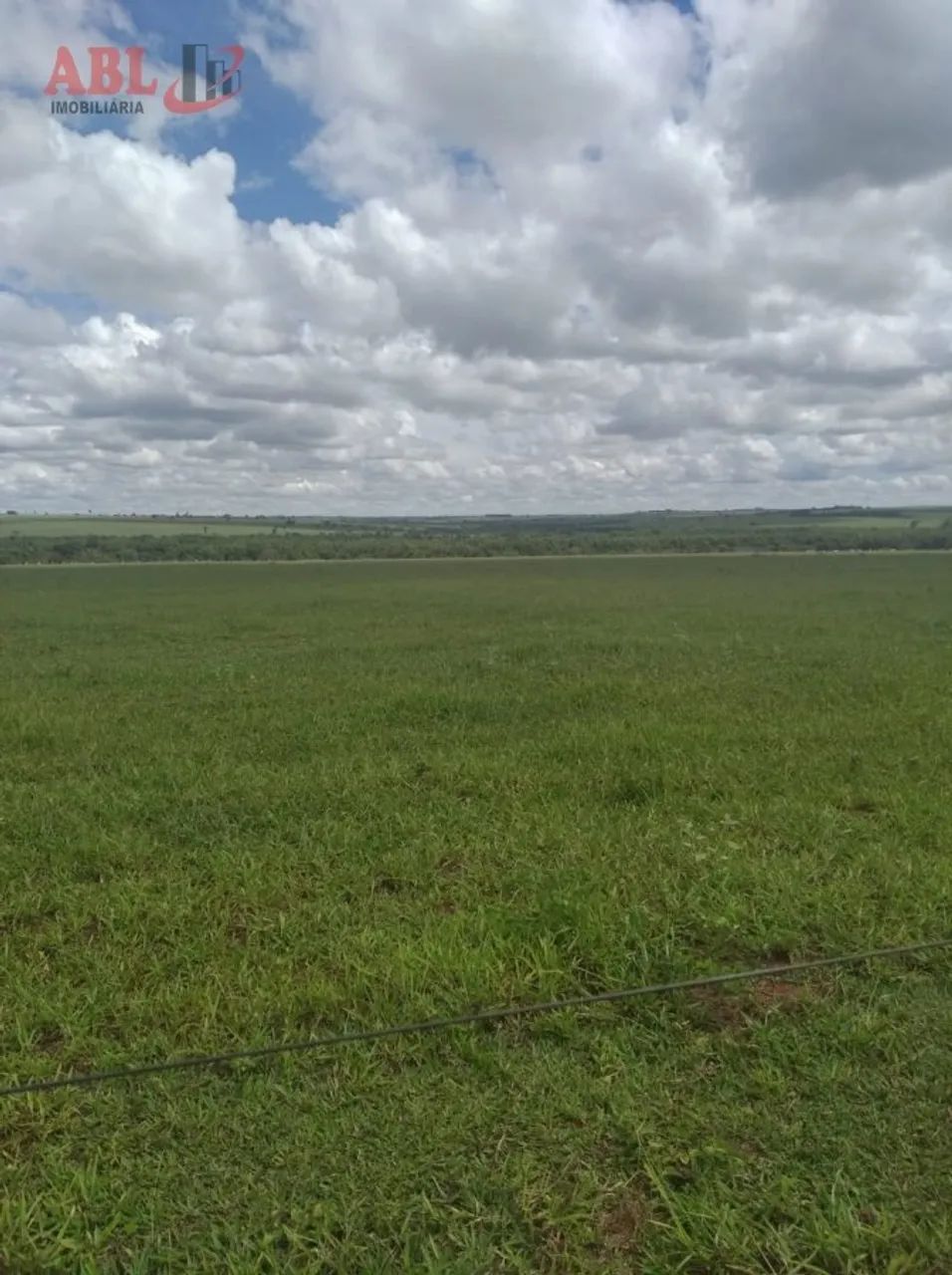 Fazenda para Venda em Centro Junqueirópolis-SP - Foto 3