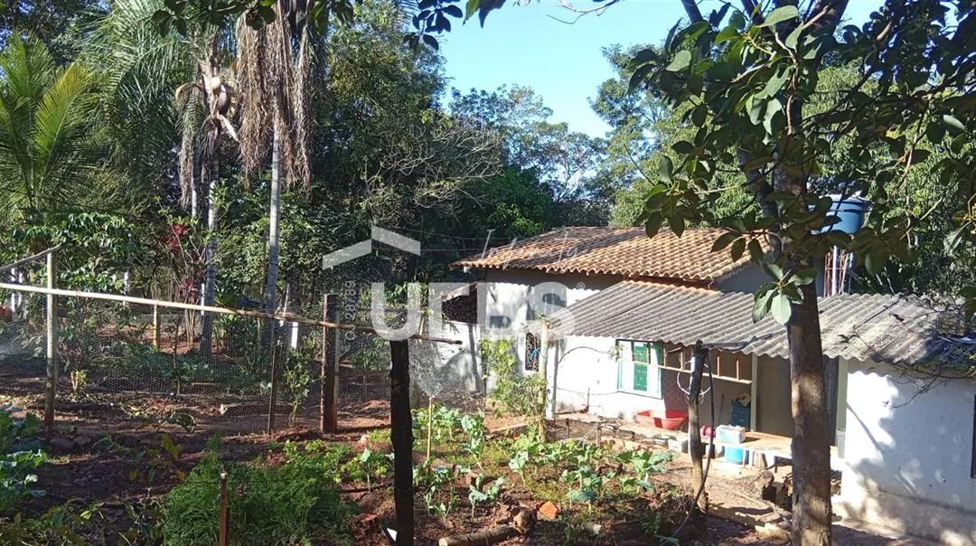 Chácara próxima a Goiânia - Foto 3
