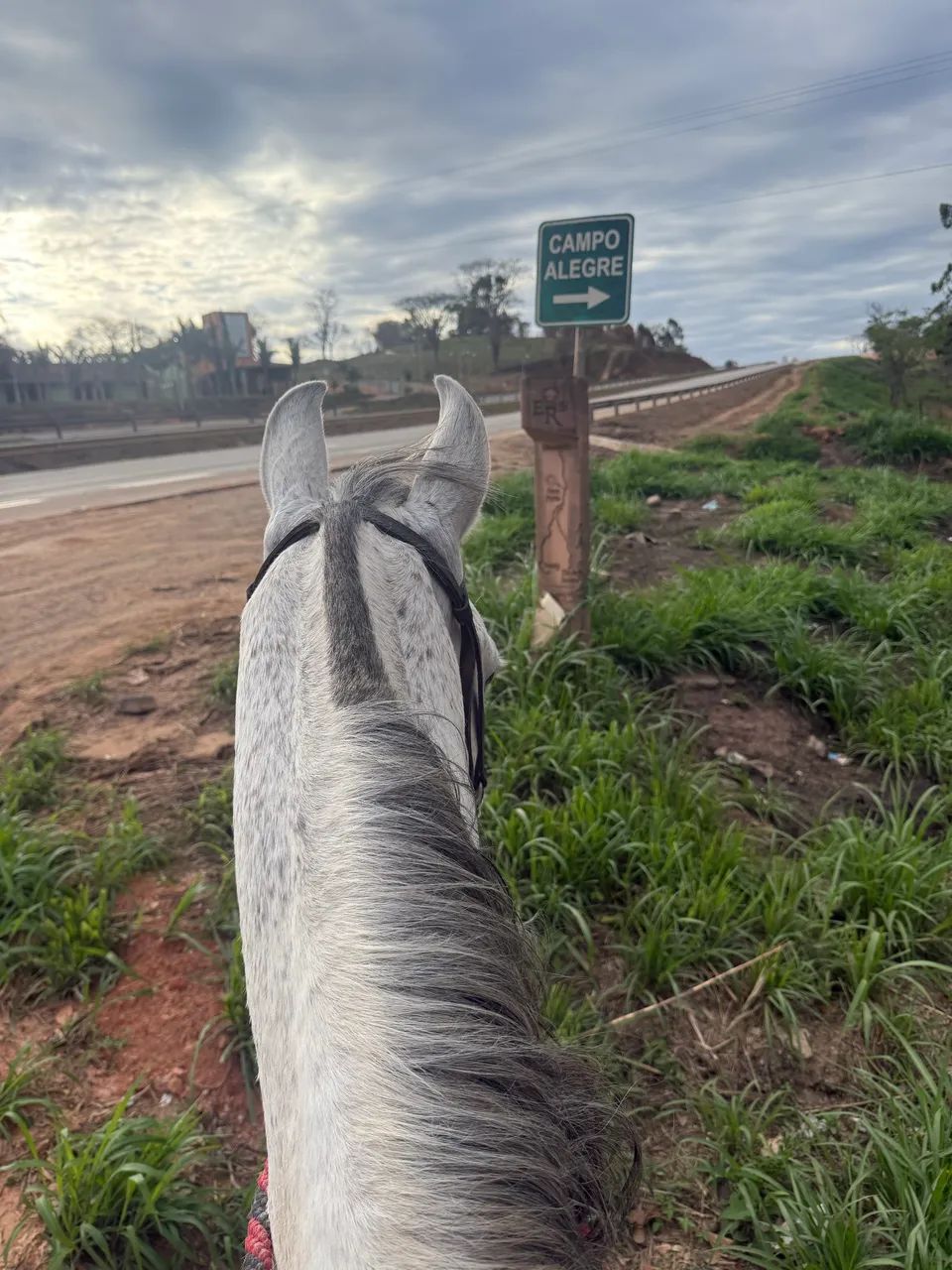 Vendo cavalo de marcha batida - Foto 2