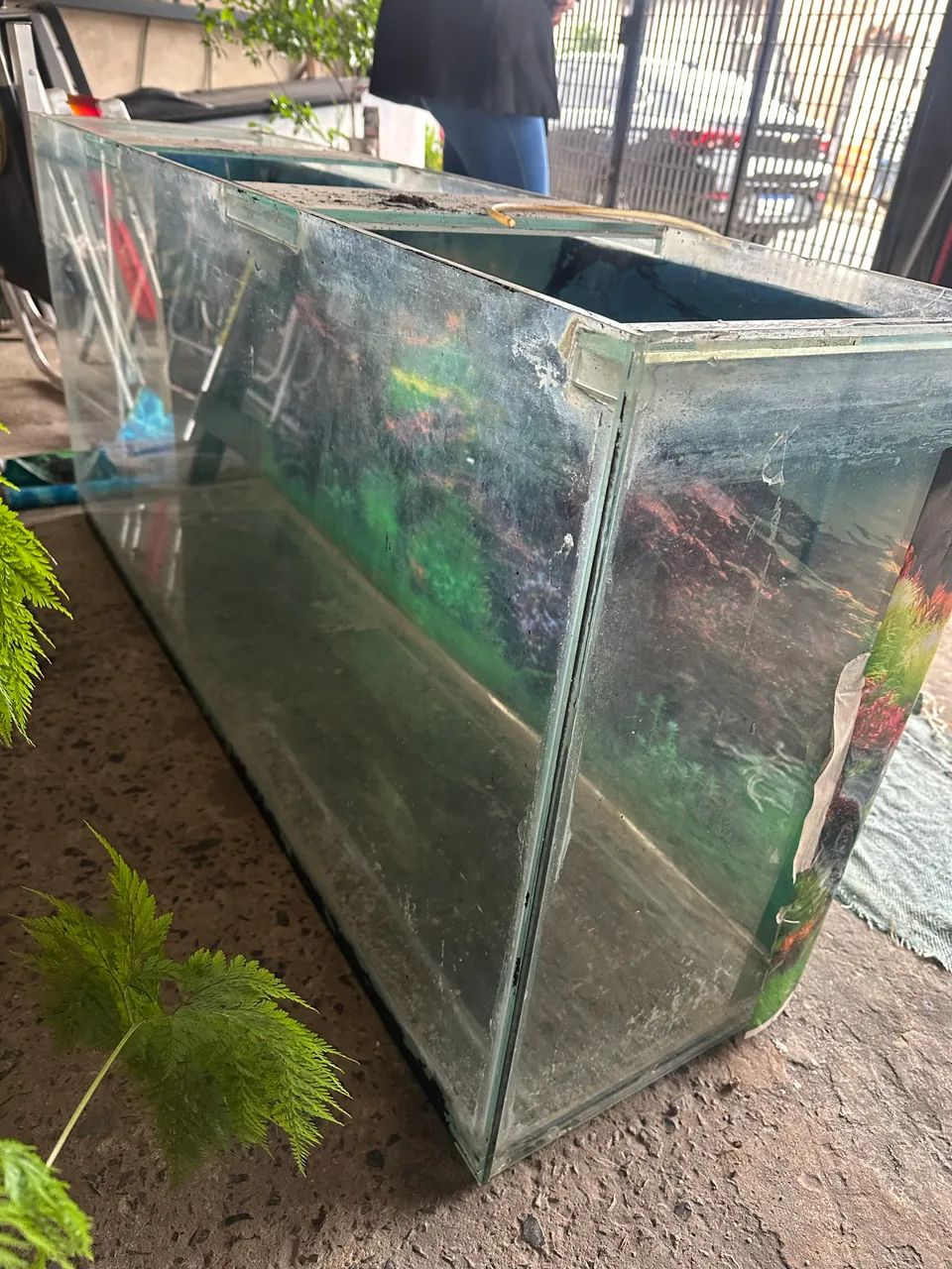 Aquario 