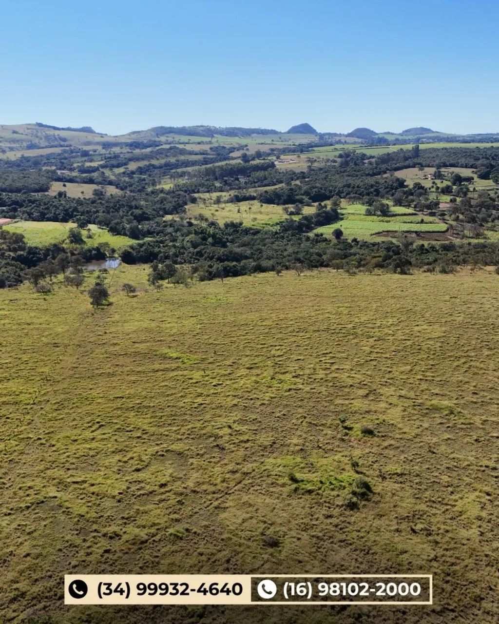 Fazenda em Cajuru-SP  - Foto 4