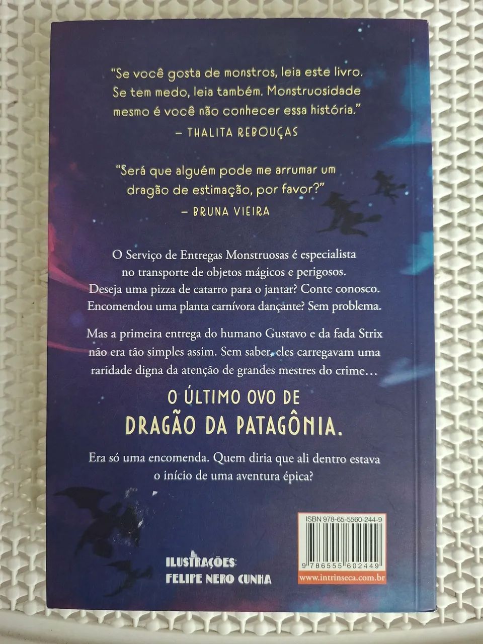 O Serviço de Entregas Monstruosas - Foto 2