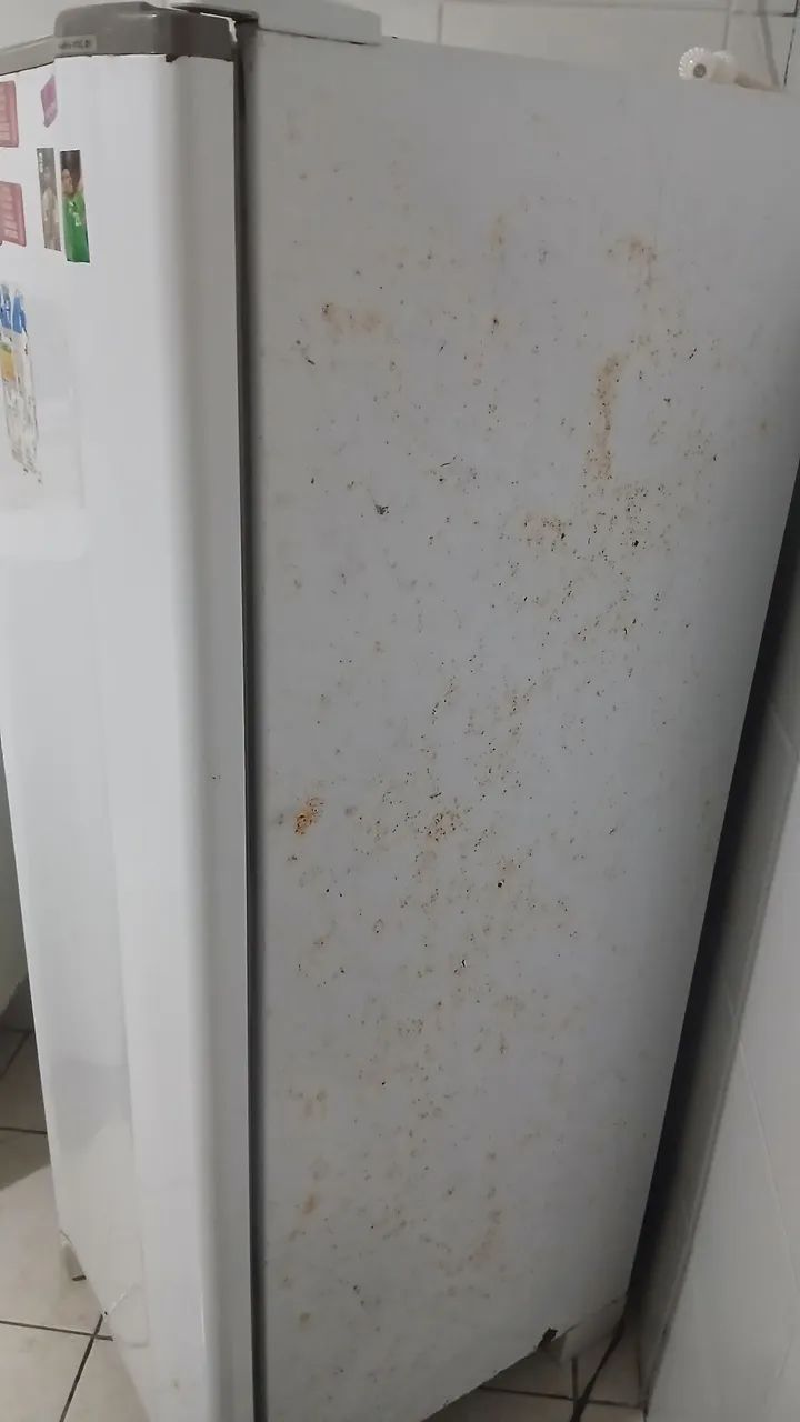 Geladeira 