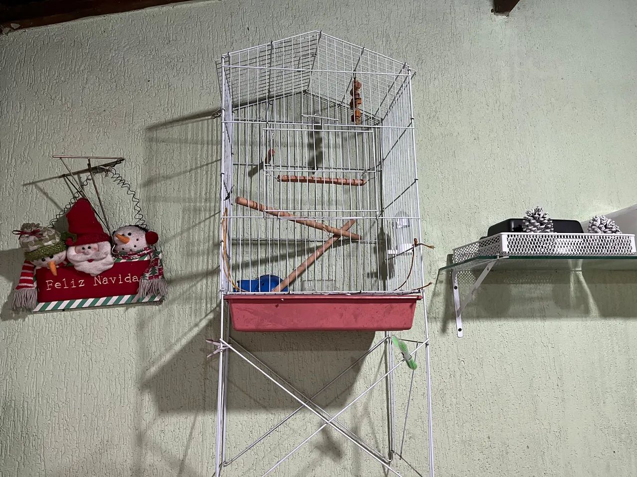 Bird Aviary