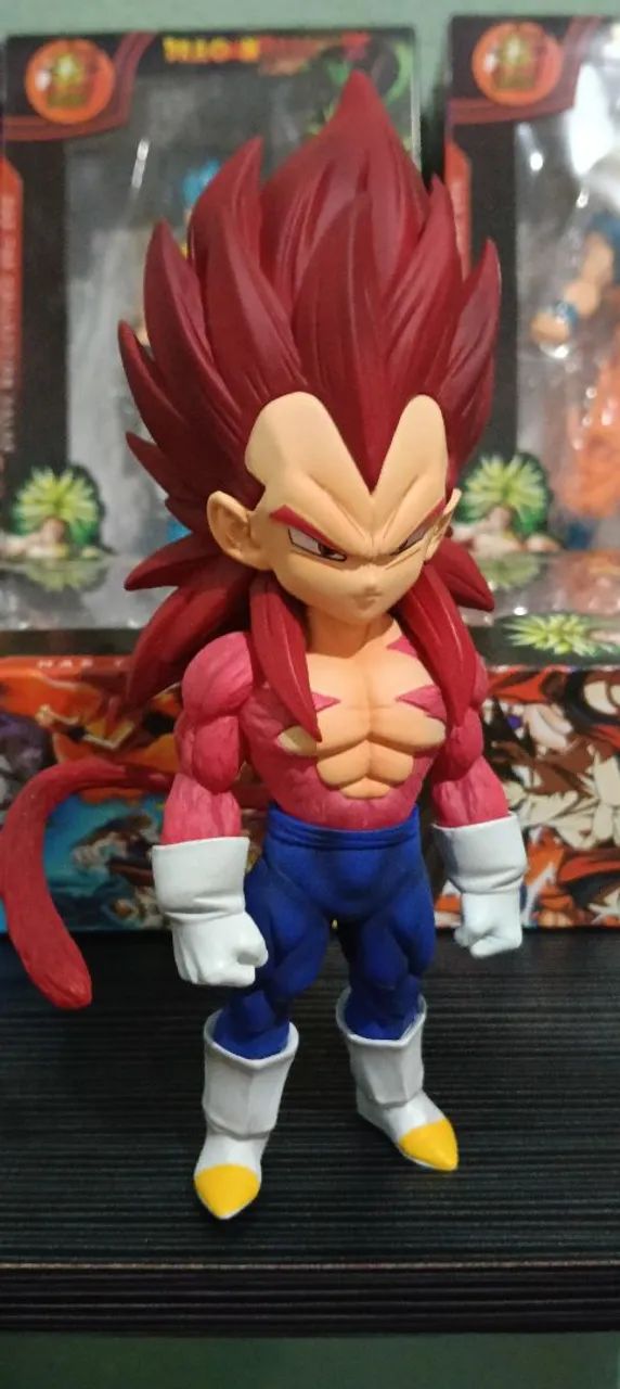 VEGETA SUPER SAIA JIM 4  - Foto 4