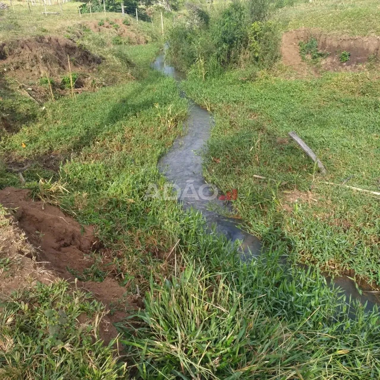 FAZENDA EM GOIÂNIA - GO - Foto 5