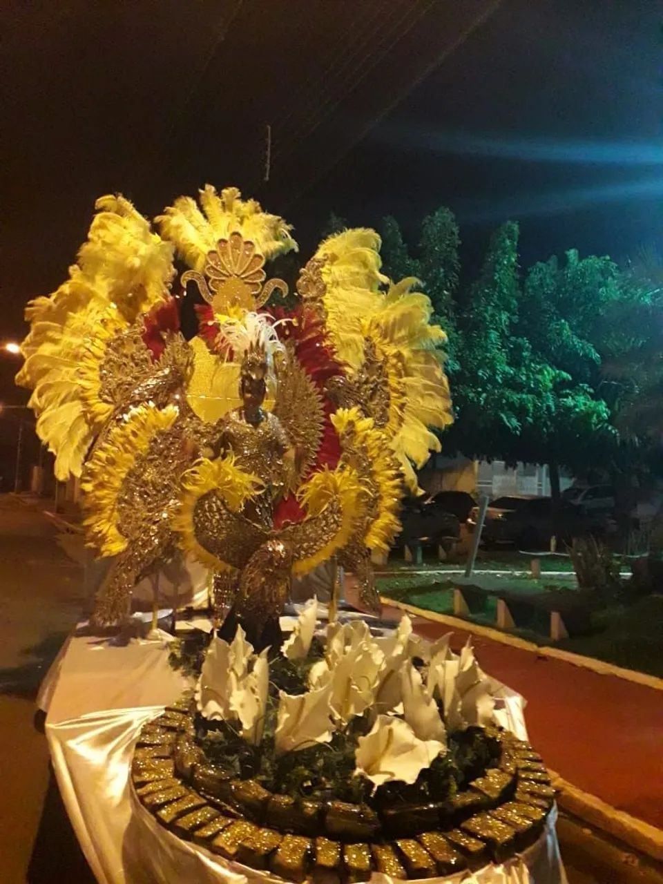 Plumas  - Foto 4
