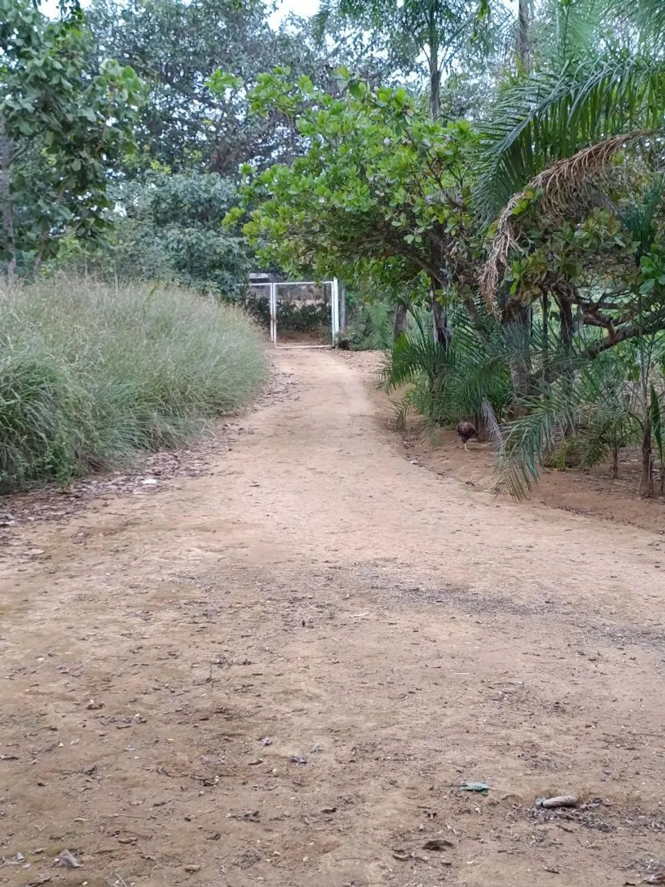 Caseiro, chácara Incra 9  - Foto 2