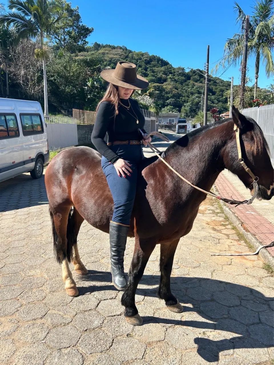 Cavalo Crioulo a venda! - Foto 4